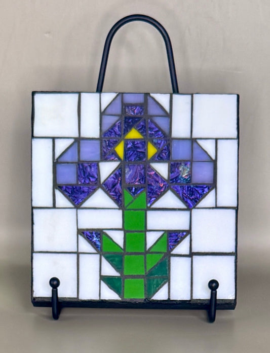 Iris Panel | Level 2